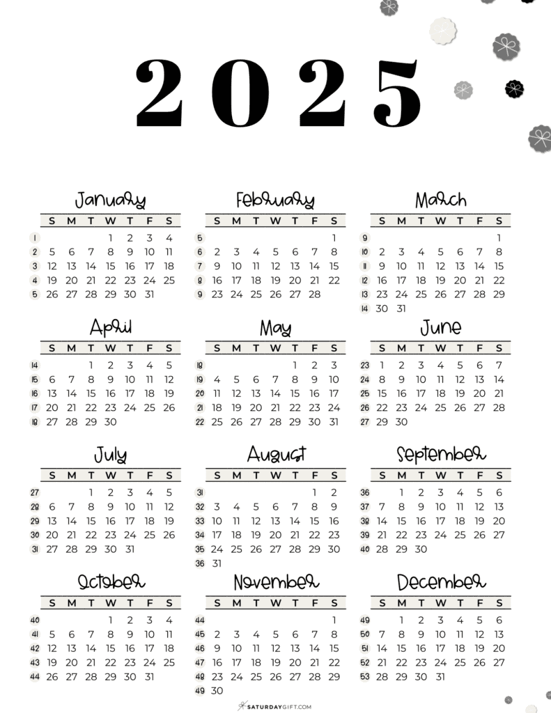 2025 Year At A Glance Calendars 37 Cute And Free PDFs