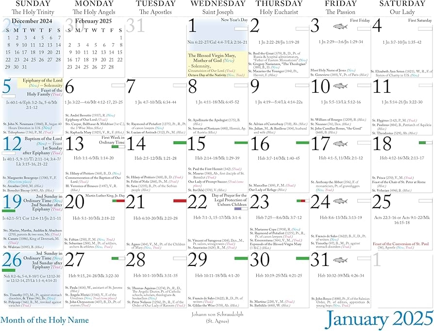 Amazon Catholic Liturgical Calendar 2025 Female Saints Office Products