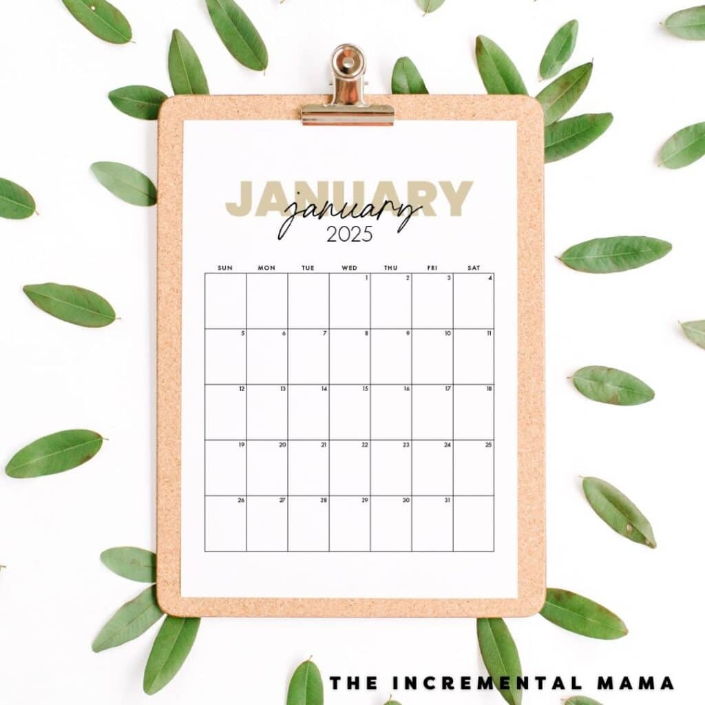 Free Printable 2025 Monthly Calendar No Download