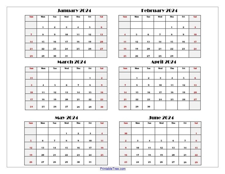 Six Month Calendar 2024 2025 Printable PDF 6 Months Calendar