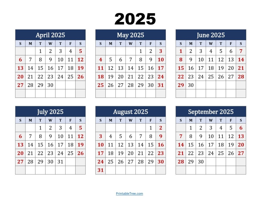 Six Month Calendar 2024 2025 Printable PDF 6 Months Calendar