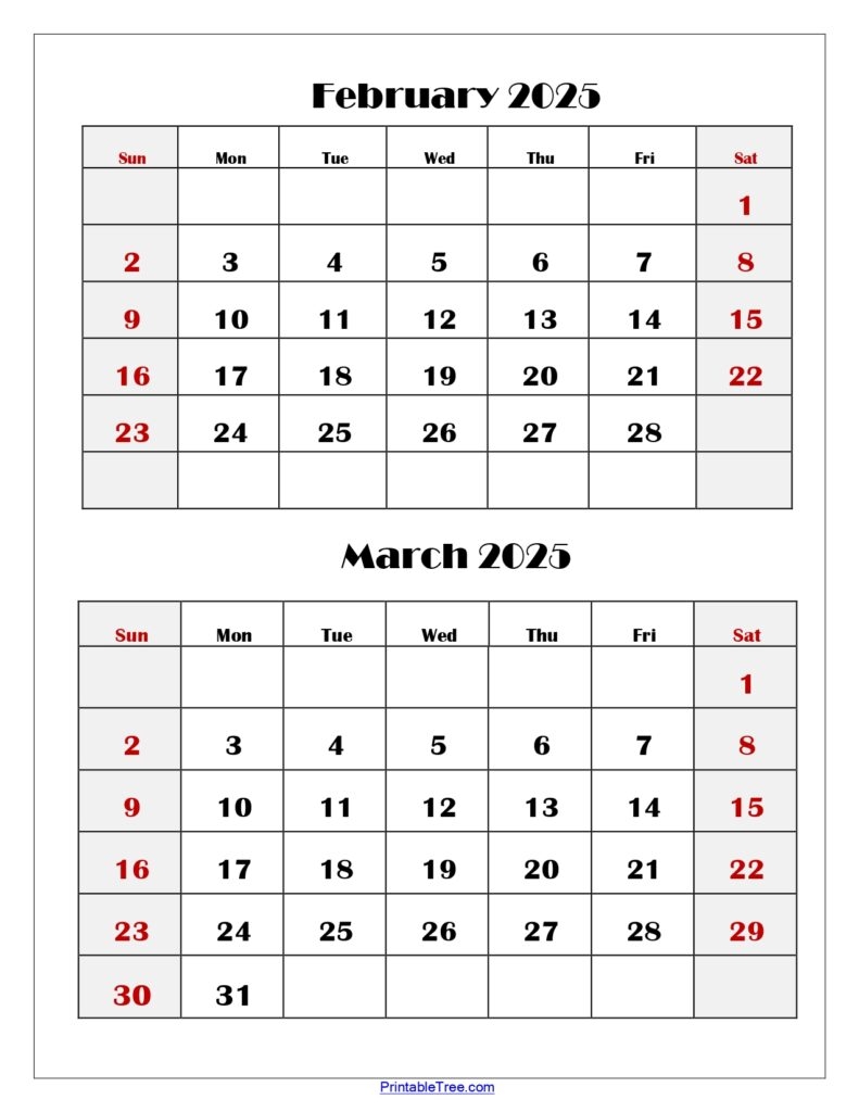Two Months Calendar 2024 2025 Printable PDF Double Month Calendar